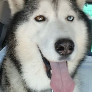 Meet your Posher, Martha